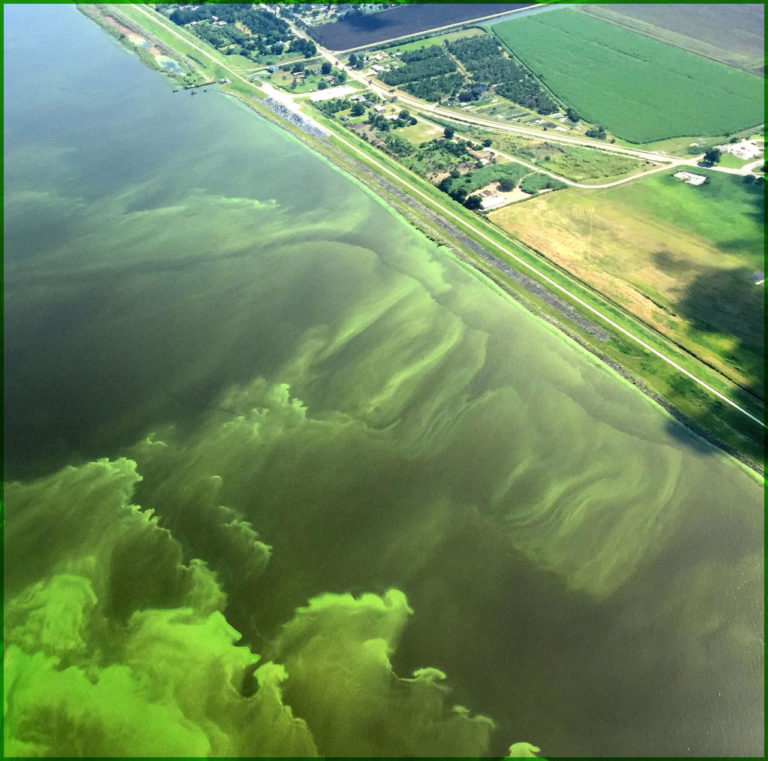 Lake Okeechobee