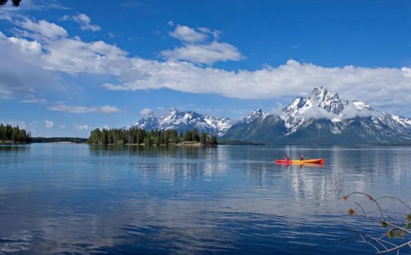 Shooting Star in Jackson Hole 4