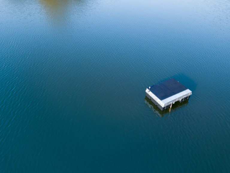 Water IQ algae control