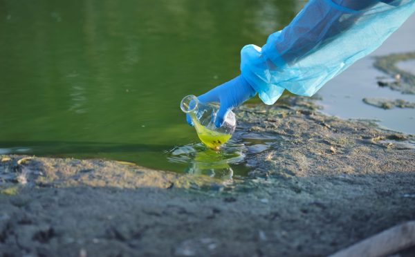 Close-up environmentalist hand of a researcher in a process of taking a sample of contaminated water from a lake