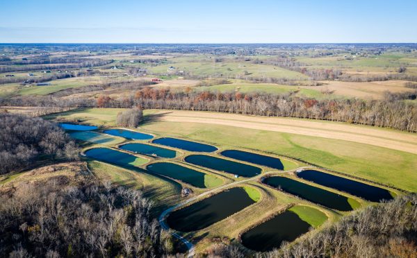 Waste treatment lagoons