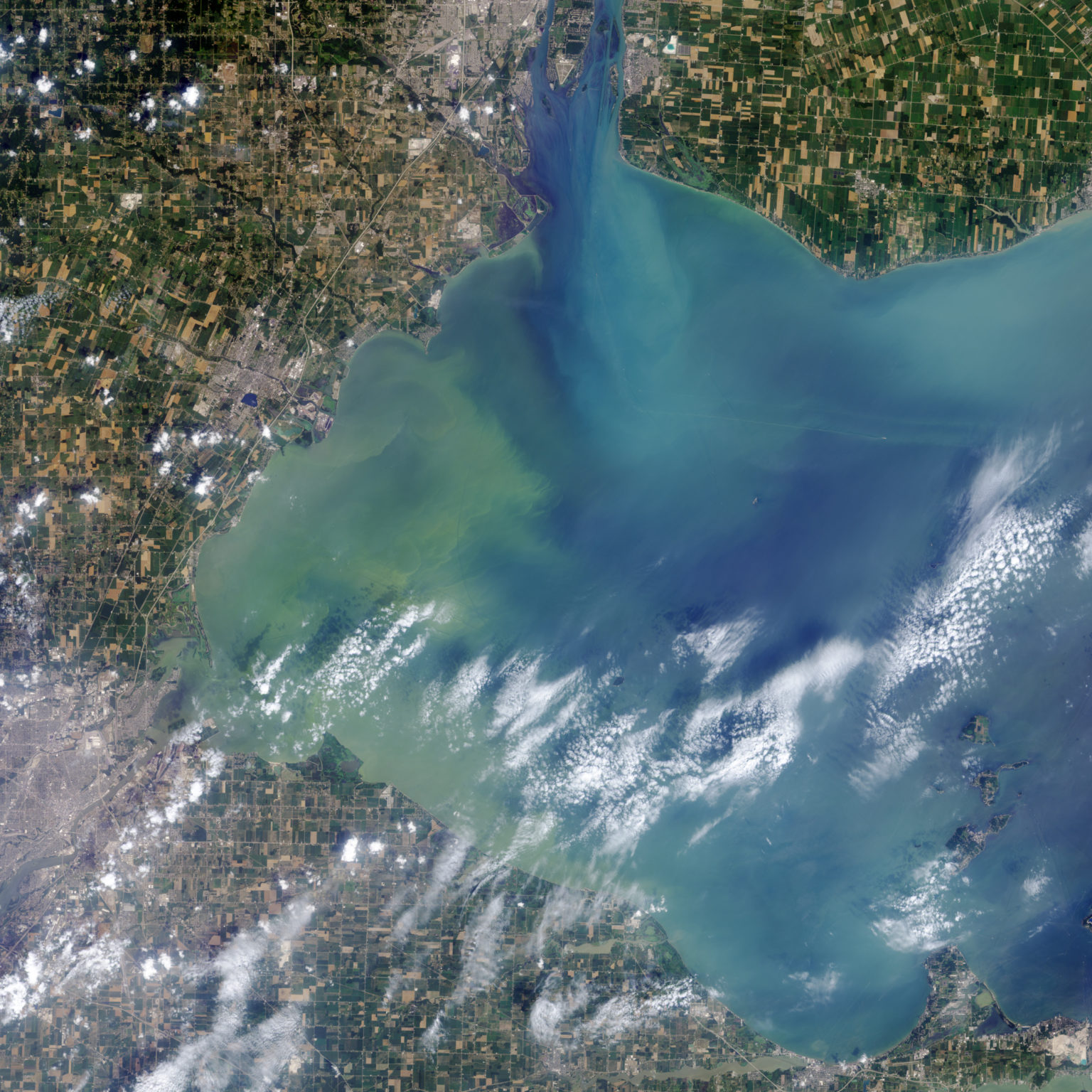 examples-of-harmful-algae-blooms-around-the-world-wateriq-technologies