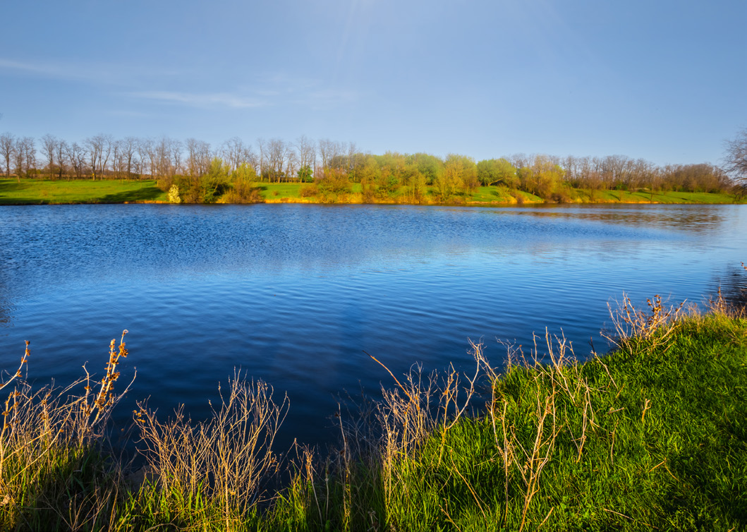 The Battle Against Algae Is On For Lake And Pond Managers